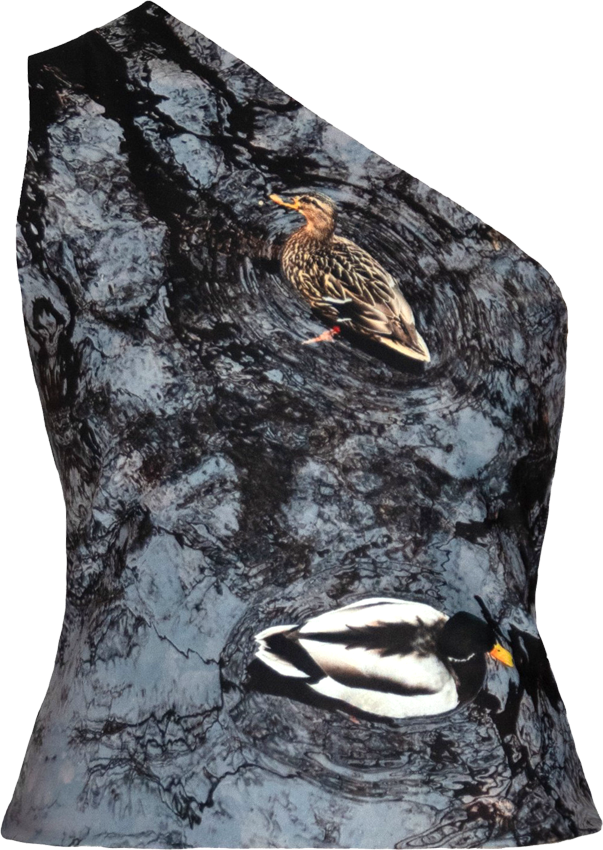 CANARD ASYMMETRICAL TOP