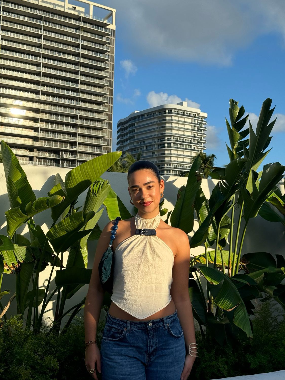 The Vera Top