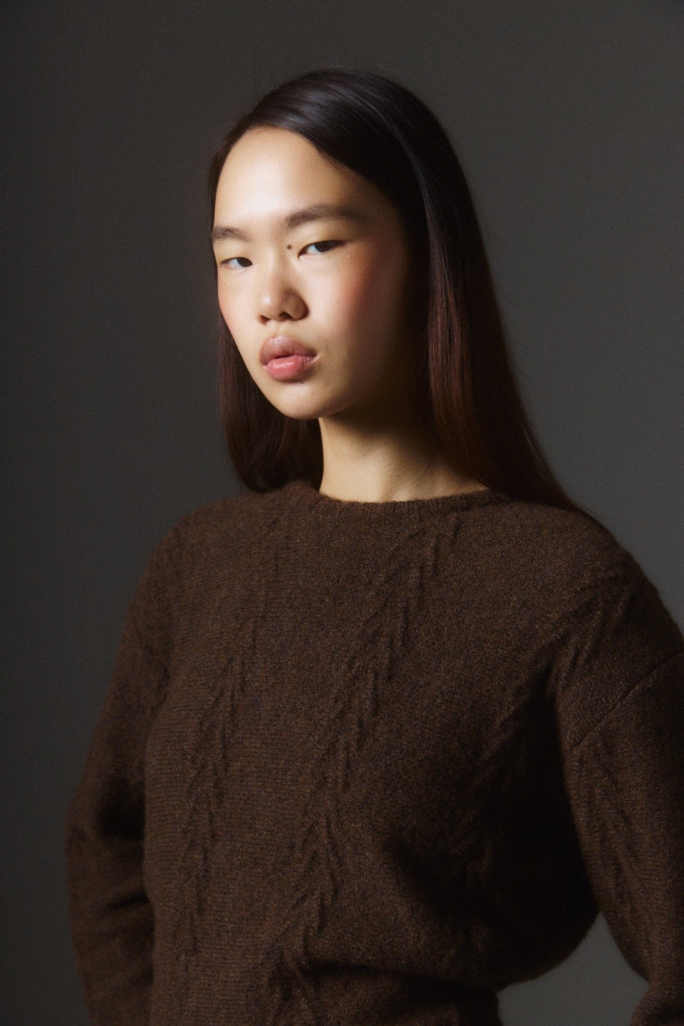 ALPES SWEATER