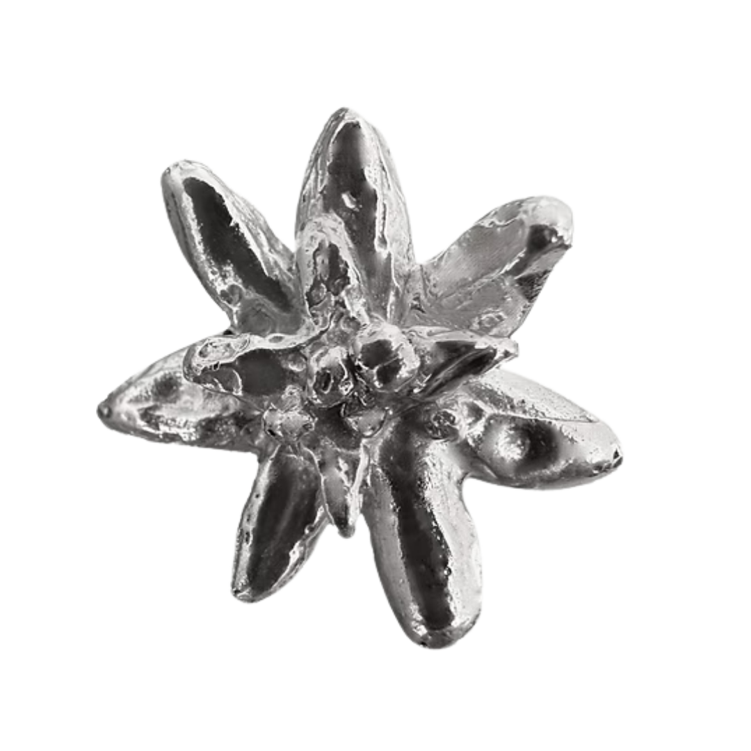Ring 001