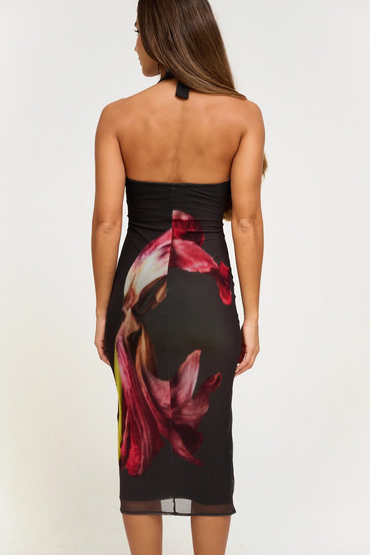 THE DRESS - VERNAL