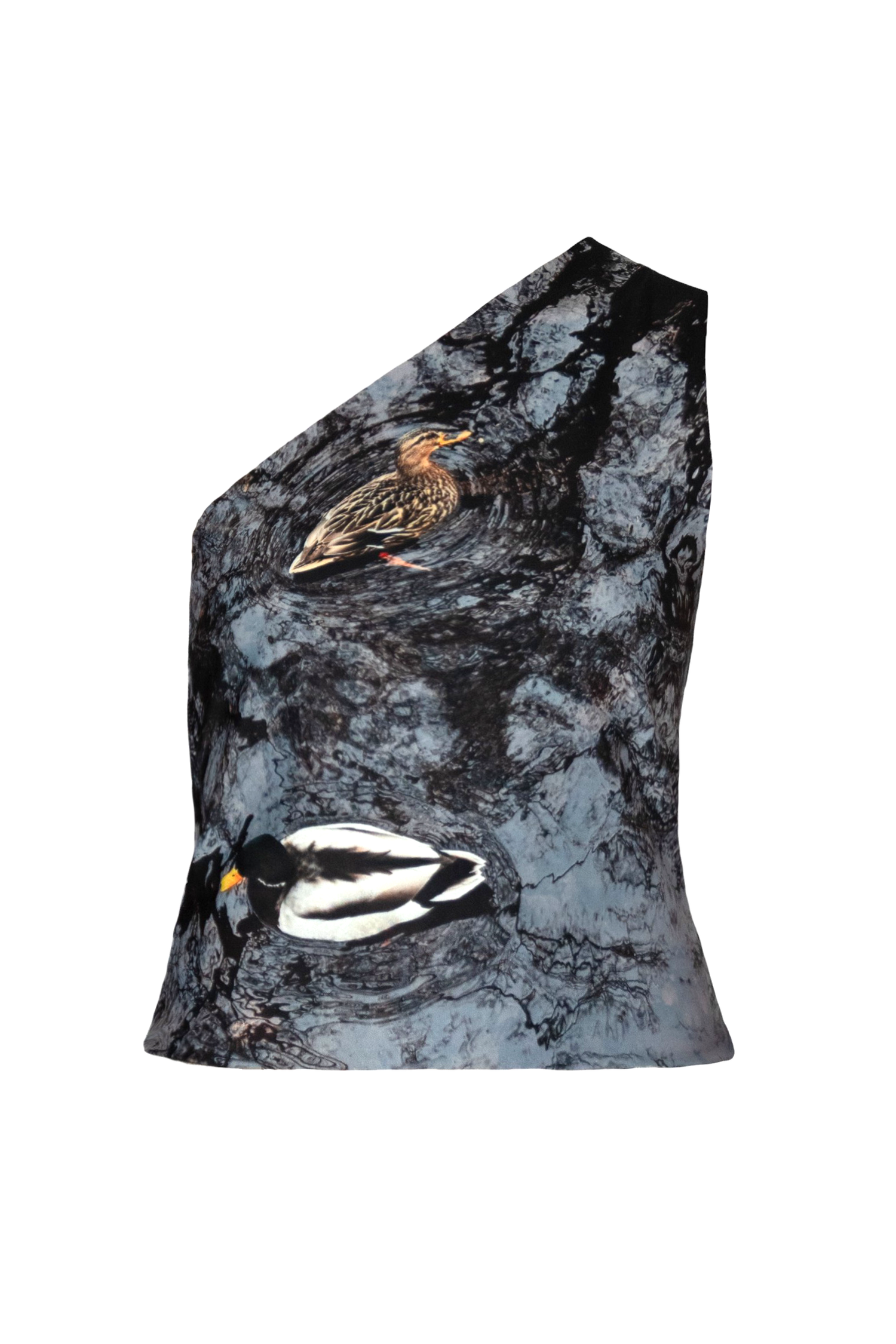 CANARD ASYMMETRICAL TOP