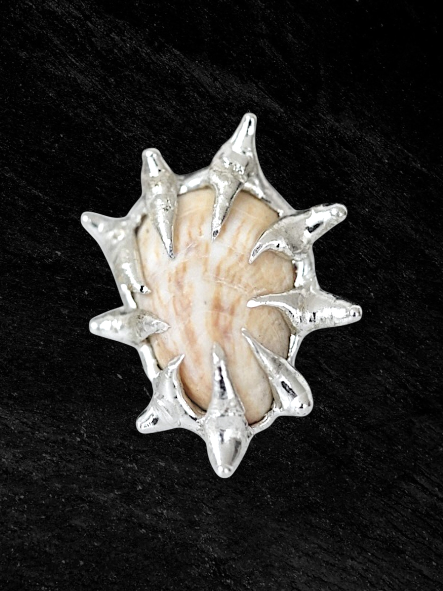 Tan Caged Shell Ring