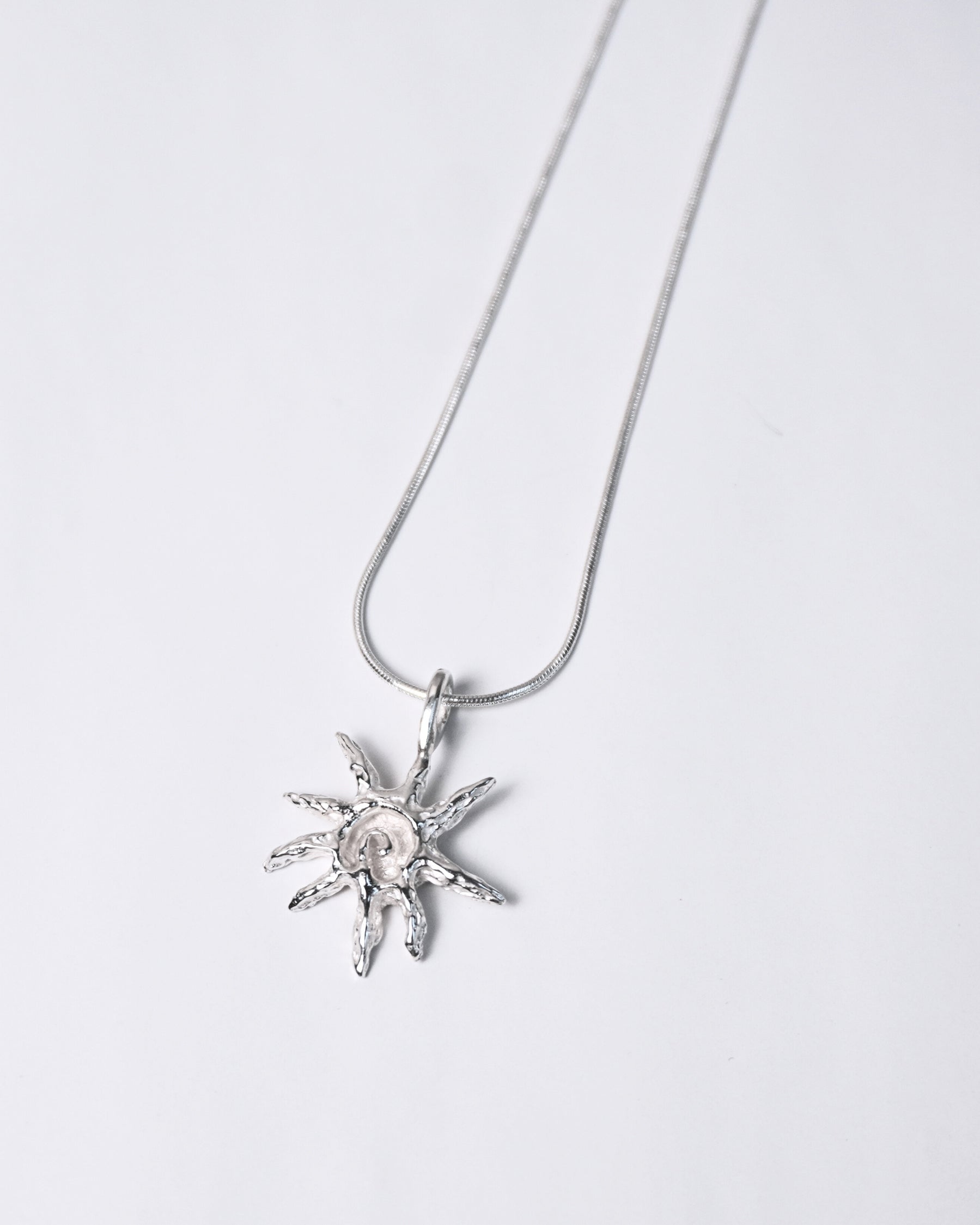 Concha Chiquita Necklace