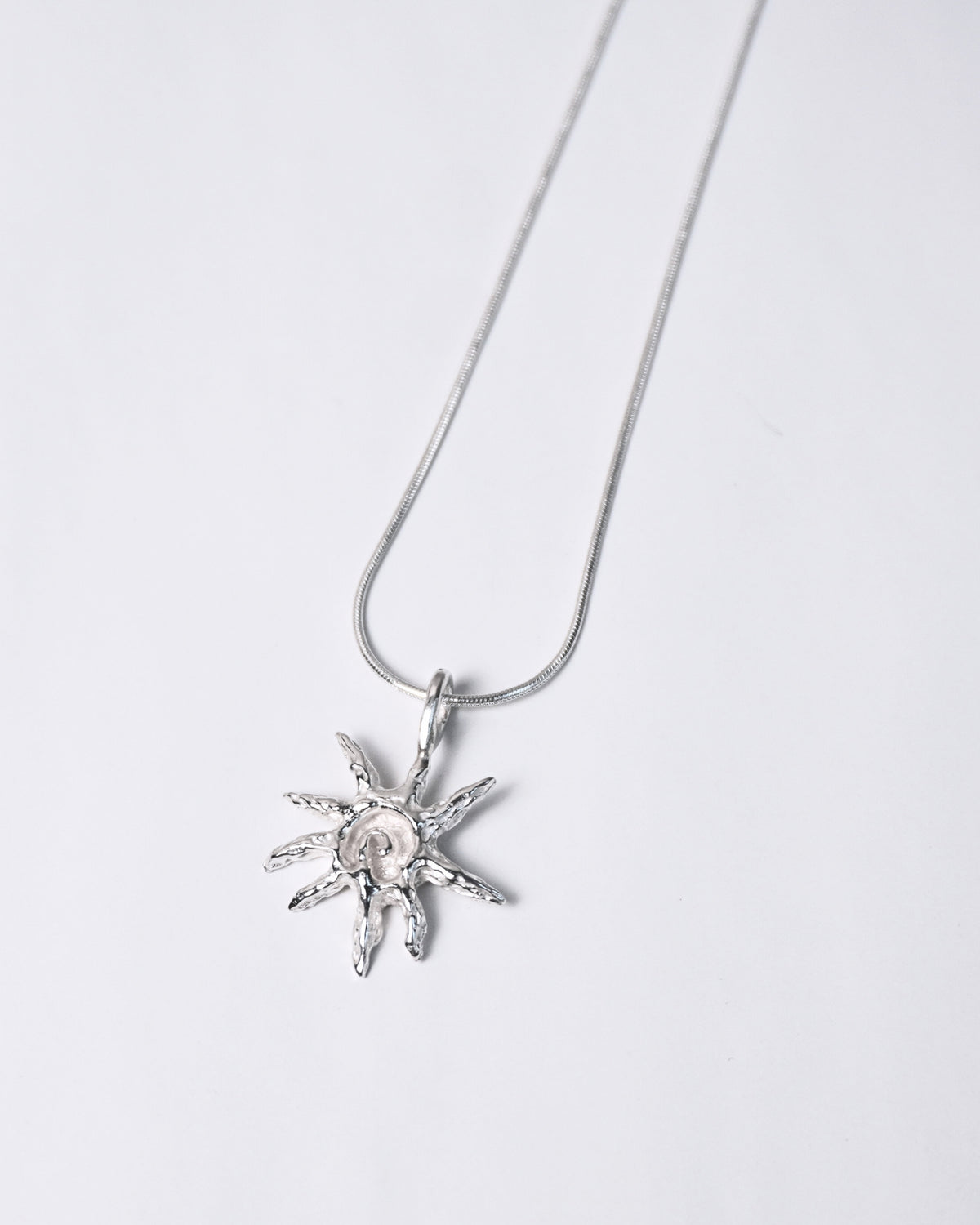 Concha Chiquita Necklace