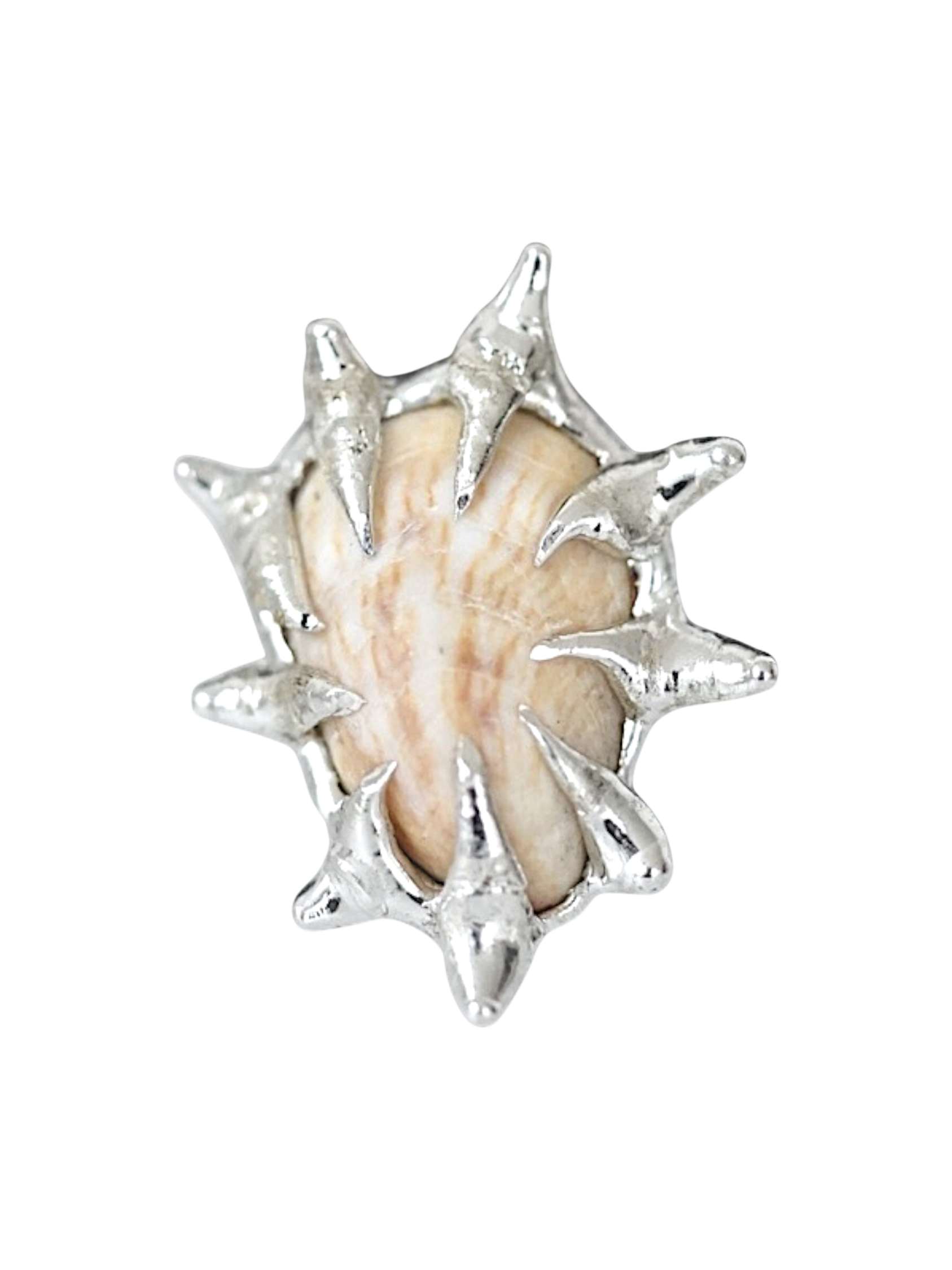 Tan Caged Shell Ring