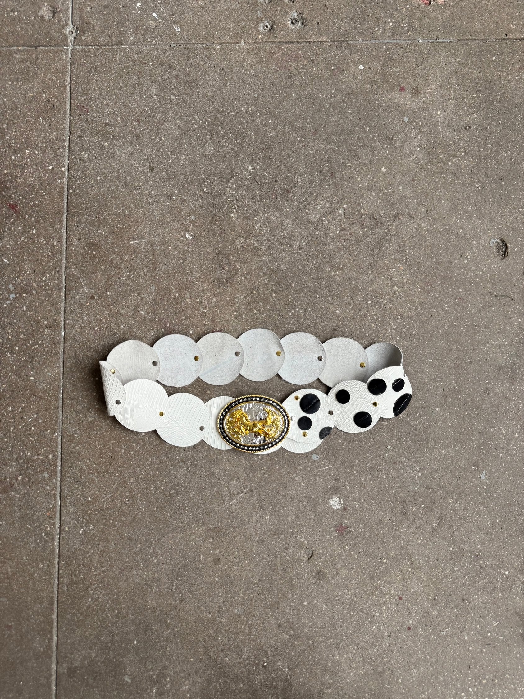 Cabalgata Studio Belt