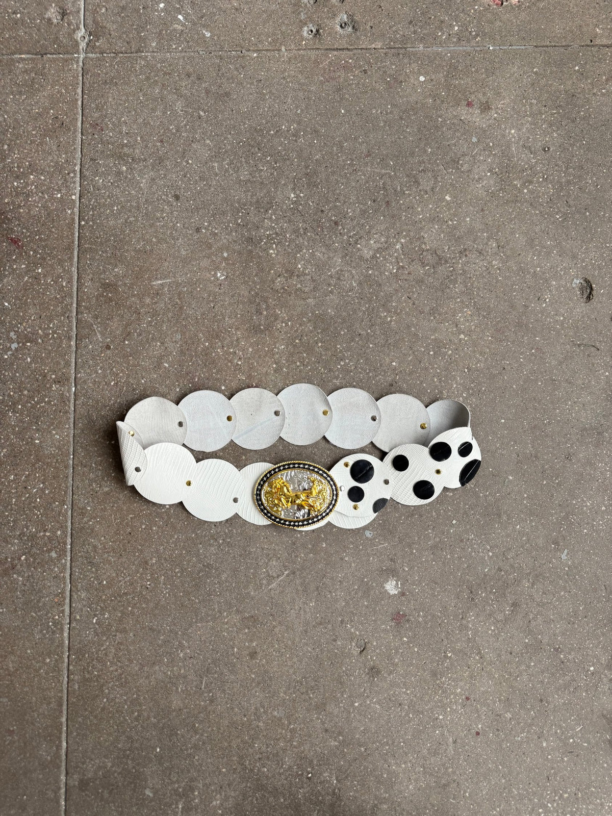 Cabalgata Studio Belt